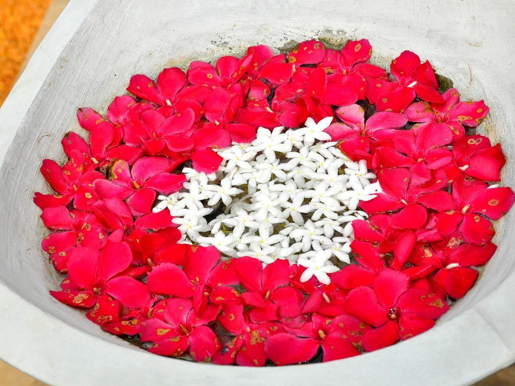 Rockery Villa Ayurveda Bentota Kültér fotó