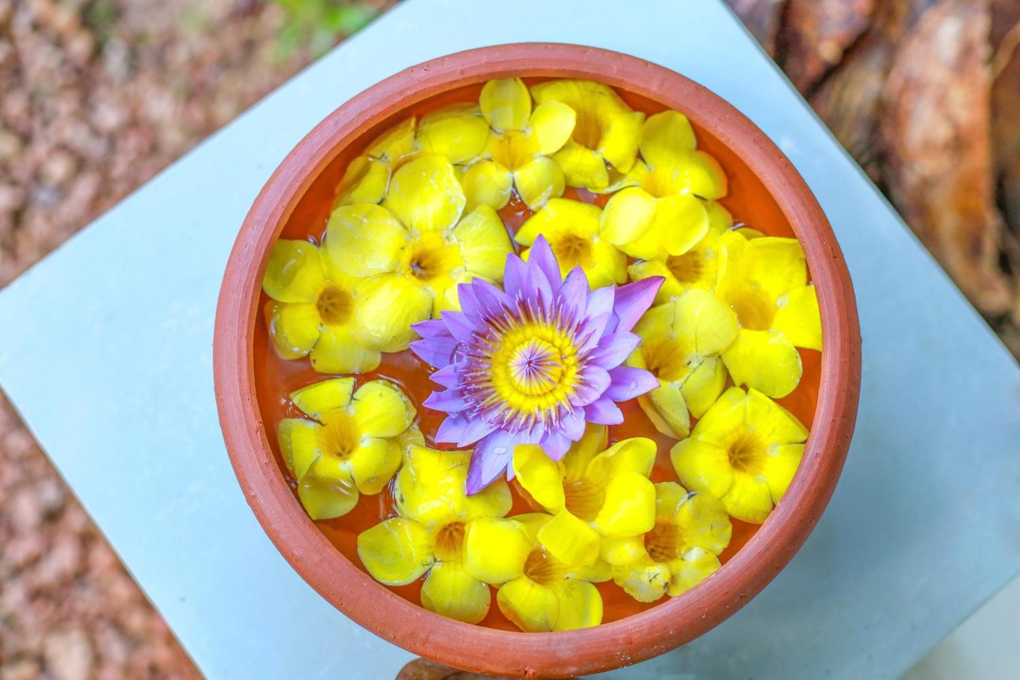 Rockery Villa Ayurveda Bentota Kültér fotó