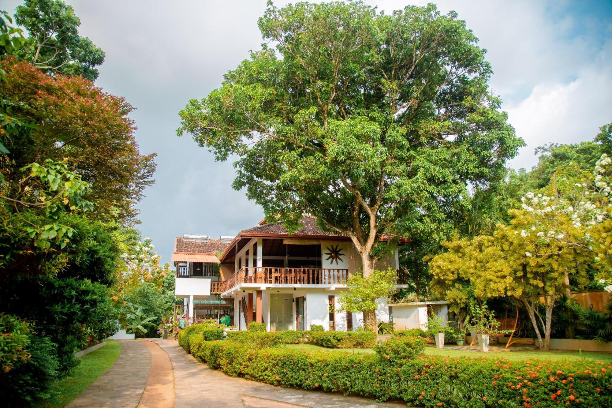Rockery Villa Ayurveda Bentota Kültér fotó
