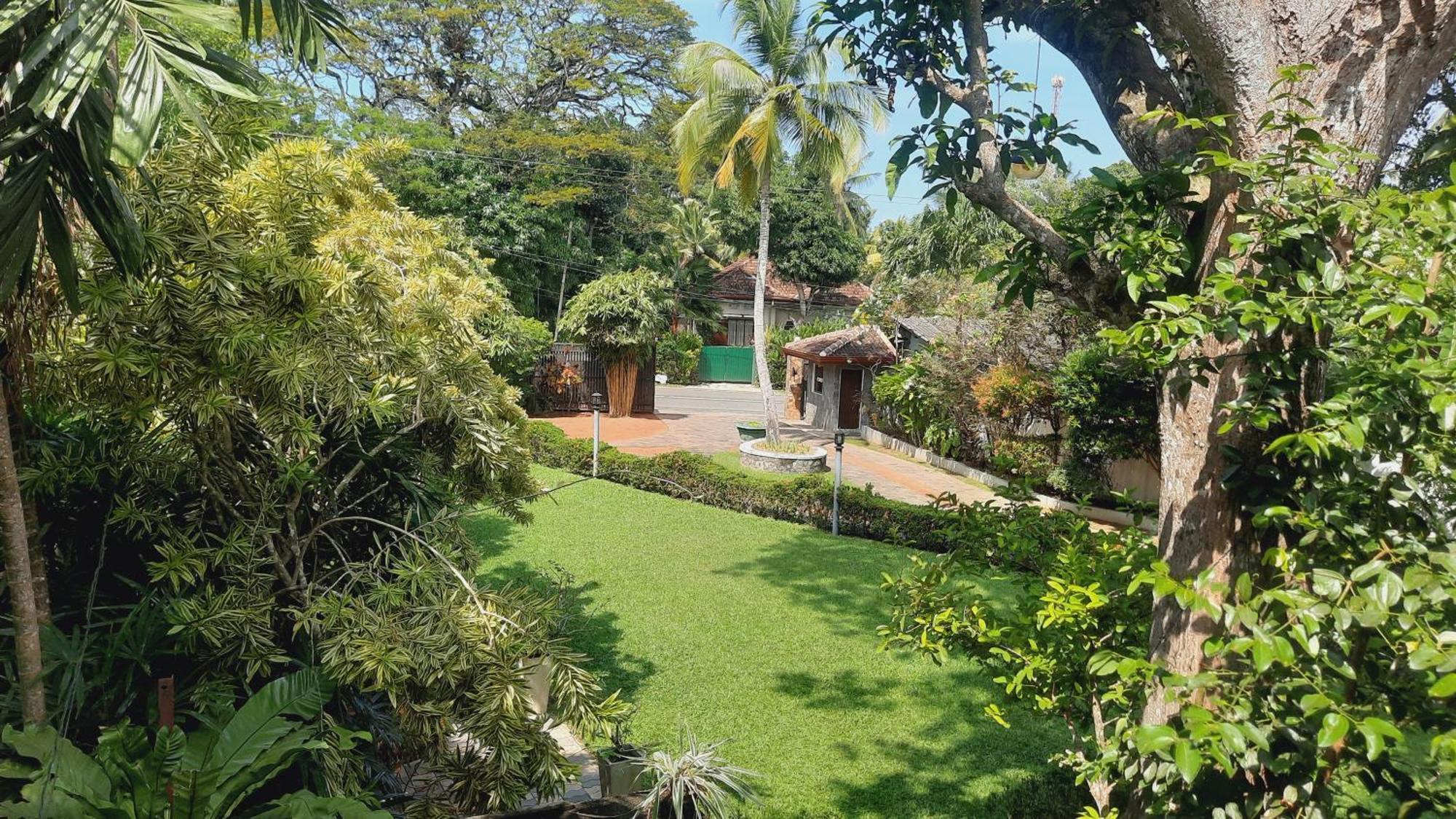 Rockery Villa Ayurveda Bentota Kültér fotó