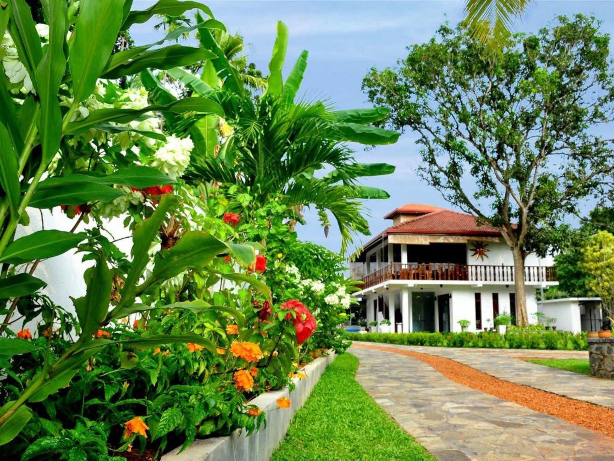 Rockery Villa Ayurveda Bentota Kültér fotó